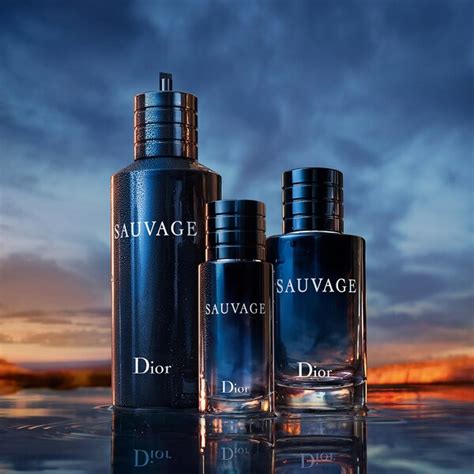 harga sauvage dior ori|sephora beli dior sauvage ingredients.